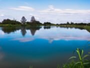 COVID QUILINO: 5 NUEVOS CASOS, 2 ALTAS MÉDICAS, 87 CASOS ACTIVOS.