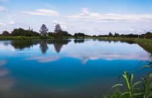 COVID QUILINO: 5 NUEVOS CASOS, 2 ALTAS MÉDICAS, 87 CASOS ACTIVOS.