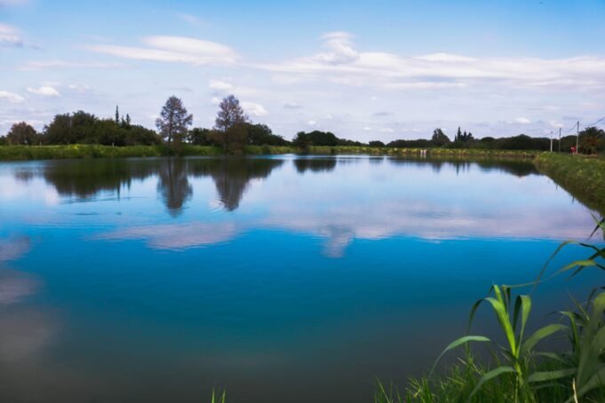 COVID QUILINO: 5 NUEVOS CASOS, 2 ALTAS MÉDICAS, 87 CASOS ACTIVOS.