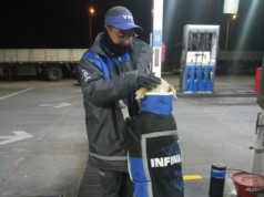 MENDOZA: ES VIRAL LA “PERRITA INFINIA” ERA CALLEJERA Y FUE ADOPTADA POR PLAYEROS DE UNA YPF QUE LE HICIERON UNIFORME PARA ABRIGARLA DEL FRÍO.