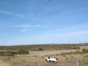PARAJE JUAN GARCÍA: PASADO EL MEDIODÍA SE REGISTRÓ EL VUELCO DE UN FIAT PALIO