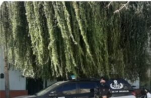 EXPLOSIONES EN DEÁN FUNES: UN HOMBRE COLOCÓ ARTEFACTOS CASEROS EN SU DEPARTAMENTO PARA PREVENIR ROBOS Y HOY ESTALLARON ASUSTANDO A MÁS DE UNO.