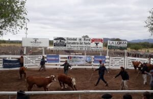 LA SOCIEDAD RURAL GANADERÍA DEL NORTE DEÁN FUNES RECHAZA LA MEDIDA DEL GOBIERNO NACIONAL POR EL CIERRE A EXPORTACIONES DE CARNES.