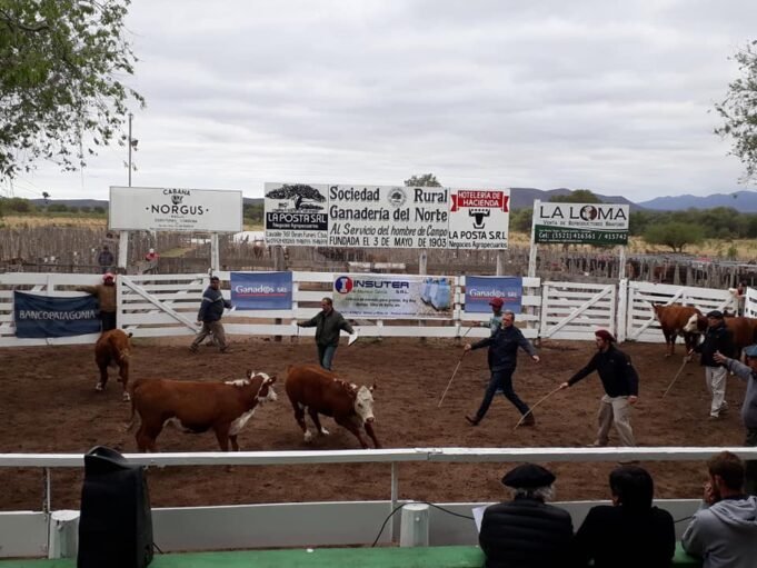 LA SOCIEDAD RURAL GANADERÍA DEL NORTE DEÁN FUNES RECHAZA LA MEDIDA DEL GOBIERNO NACIONAL POR EL CIERRE A EXPORTACIONES DE CARNES.