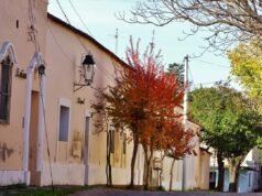 COVID TULUMBA: 8 NUEVOS CASOS, 7 ALTAS MÉDICAS, 31 ACTIVOS EN TOTAL. 2 FALLECIDOS MÁS POR CORONAVIRUS.