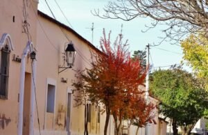 COVID TULUMBA: 8 NUEVOS CASOS, 7 ALTAS MÉDICAS, 31 ACTIVOS EN TOTAL. 2 FALLECIDOS MÁS POR CORONAVIRUS.