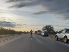 VOLCÓ OTRO CAMIÓN EN CERCANÍAS A QUILINO. TRABAJARON POLICÍA Y DEFENSA CIVIL.