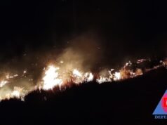 QUILINO: INCENDIO EN RUTA 60 KM 847