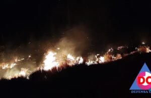QUILINO: INCENDIO EN RUTA 60 KM 847