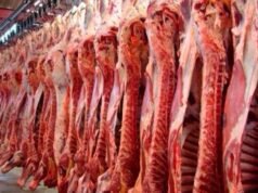 EL GOBIERNO REABRIRÁ LAS EXPORTACIONES DE LA CARNE.