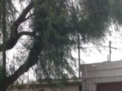 B° LA FERIA: ESTA TARDE UN CONOCIDO EXHIBICIONISTA PERSIGUIÓ A UNA NENA DE 12 AÑOS Y LOS VECINOS CASI LO LINCHAN.