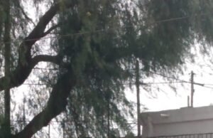 B° LA FERIA: ESTA TARDE UN CONOCIDO EXHIBICIONISTA PERSIGUIÓ A UNA NENA DE 12 AÑOS Y LOS VECINOS CASI LO LINCHAN.