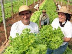 ReNAF QUILINO: ESTE JUEVES INSCRIBEN A PRODUCTORES AL REGISTRO NACIONAL DE AGRICULTURA FAMILIAR.