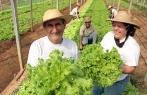 ReNAF QUILINO: ESTE JUEVES INSCRIBEN A PRODUCTORES AL REGISTRO NACIONAL DE AGRICULTURA FAMILIAR.