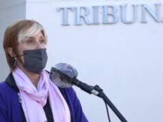 UN ABOGADO TILDÓ DE FEMINAZI A LA FISCAL FABIANA POCHETTINO POR ELEVAR A JUICIO LA CAUSA DE SU CLIENTE .