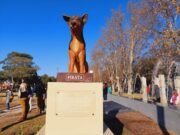 JESÚS MARÍA INAUGURÓ UN PARQUE CANINO.