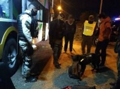 CONTROL INTERFUERZAS EN SINSACATE: UN PERRO DE LA FPA DETECTÓ DROGA EN LA VALIJA DE UNA PASAJERA QUE VENÍA EN COLECTIVO DESDE SALTA