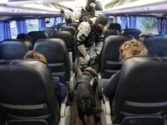 SINSACATE: SECUESTRAN DROGA EN UNA MOCHILA QUE VENÍA EN LA BODEGA DE UN COLECTIVO DESDE JUJUY