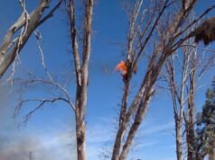 DEPARTAMENTAL ISCHILIN: 2 FOCOS DE INCENDIO 1 EN DEÁN FUNES, OTRO EN QUILINO Y REGULACIÓN DE TRÁNSITO EN AVELLANEDA.