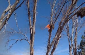 DEPARTAMENTAL ISCHILIN: 2 FOCOS DE INCENDIO 1 EN DEÁN FUNES, OTRO EN QUILINO Y REGULACIÓN DE TRÁNSITO EN AVELLANEDA.