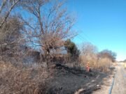 DEÁN FUNES: BOMBEROS REPORTARON UN INCENDIO FORESTAL EN LÍNEAS FÉRREAS.