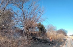 DEÁN FUNES: BOMBEROS REPORTARON UN INCENDIO FORESTAL EN LÍNEAS FÉRREAS.