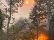 INCENDIO EN POTRERO DE GARAY: TRABAJAN MÁS DE 100 BOMBEROS.
