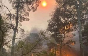 INCENDIO EN POTRERO DE GARAY: TRABAJAN MÁS DE 100 BOMBEROS.