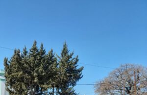 PATRONALES CHUÑA: ASISTIERON MÁS DE 500 PERSONAS RESPETANDO DISTANCIA Y PROTOCOLO.