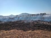 SE QUEMARON 3 HECTÁREAS EN CERCANÍAS AL ALTO DE LOS POZOS.