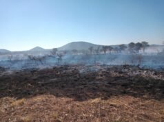SE QUEMARON 3 HECTÁREAS EN CERCANÍAS AL ALTO DE LOS POZOS.