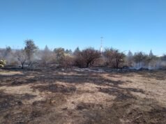 PARTE POLICIAL DEPARTAMENTAL ISCHILÍN.
