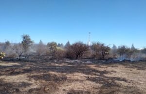 PARTE POLICIAL DEPARTAMENTAL ISCHILÍN.