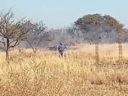PARTE POLICIAL DEPARTAMENTAL ISCHILÍN.