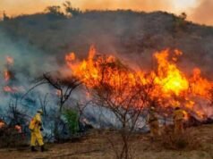 EL CUARTEL DE BOMBEROS DEÁN FUNES ADVIRTIÓ QUE EL RIESGO DE INCENDIOS ES EXTREMO.