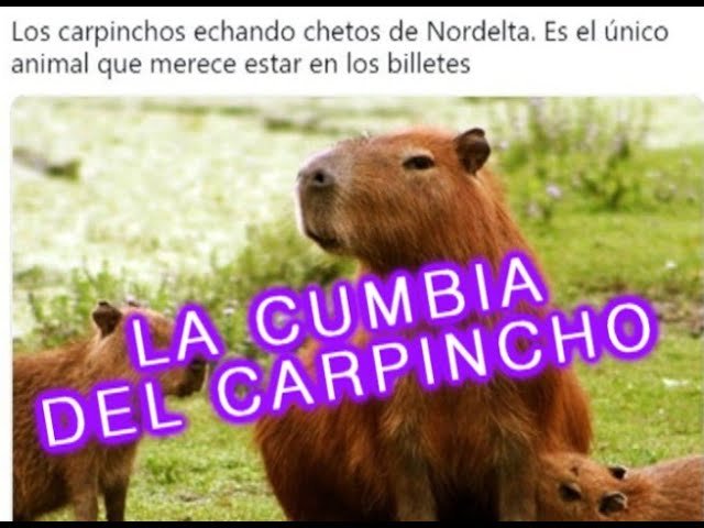 PARA BAILARLO: ¡EL CARPINCHO MALVADO! LA CUMBIA PARA LOS CARPINCHOS DE NORDELTA.
