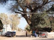 HOMICIDIO EN OLIVARES DE SAN NICOLÁS: UN HOMBRE MATÓ A OTRO CON UN ARMA BLANCA Y ESCAPÓ.