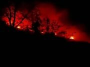 INCENDIO EN SAUCE: PESE AL FUERTE VIENTO BOMBEROS LOGRARON CONTROLAR EL FUEGO.
