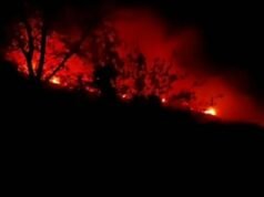 INCENDIO EN SAUCE: PESE AL FUERTE VIENTO BOMBEROS LOGRARON CONTROLAR EL FUEGO.