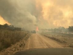 ¡SIGUEN LOS INCENDIOS!: EL FUEGO NO PARA Y EL CLIMA NO AYUDA.