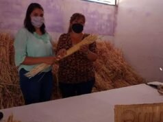 QUILINO: ARTESANOS RECIBIERON TRIGO PARA REALIZAR SUS TRABAJOS.