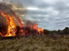 CONTINÚAN LOS INCENDIOS EN EL NORTE DE CÓRDOBA