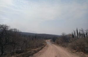BUENA NOTICIA: YA NO QUEDAN FOCOS ACTIVOS DE INCENDIOS EN LA PROVINCIA DE CÓRDOBA.