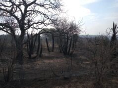 CAMINIAGA: HUBO REINICIO DE FUEGO QUE ETAC Y BOMBEROS LOGRARON EXTINGUIR DE INMEDIATO.