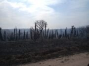 PENSANDO ISCHILÍN ENTREGÓ DONACIONES EN CAMINIAGA TRAS EL TERRIBLE INCENDIO QUE ARRASÓ CON TODO.