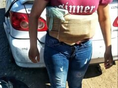 FPA SORPRENDIÓ A UNA PAREJA CON SEIS LADRILLOS DE MARIHUANA SOBRE RUTA PROVINCIAL 16