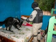 UTLIZABA UN DRONE PARA INGRESAR DROGA A LA CÁRCEL DE CRUZ DEL EJE Y QUEDÓ DETENIDO POR LA FPA.