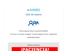 BONO DE $18.000: ¡PACIENCIA! CUANDO ENTRES A LA WEB DE ANSES TE VAS A TOPAR CON UNA SALA DE ESPERA VIRTUAL ¡ETERNA!