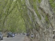 COLONIA CAROYA: ROBARON 700MIL PESOS A UNA FAMILIA SODERA. UN LADRON VESTIA UNIFORME POLICIAL.