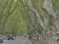 COLONIA CAROYA: ROBARON 700MIL PESOS A UNA FAMILIA SODERA. UN LADRON VESTIA UNIFORME POLICIAL.